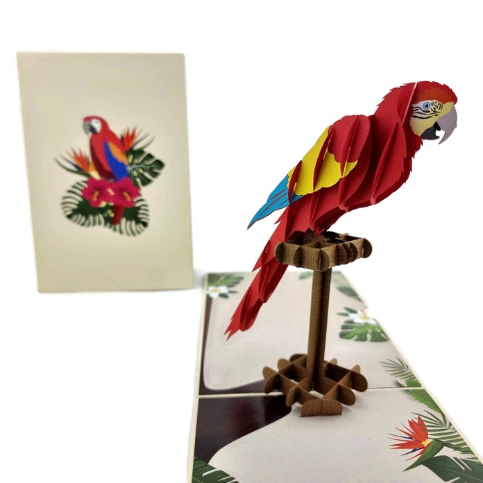 Parrot Pop Up Card Blank