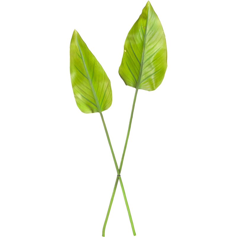 Plant Calla Lily Leaf Pair
