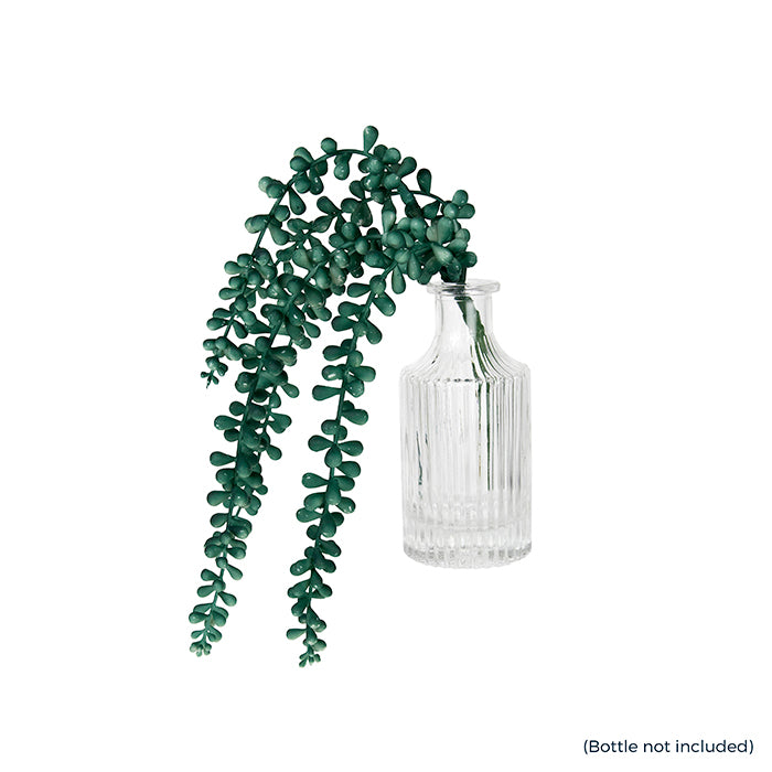 Hanging Pearl Blue Green  Succulent 39cm