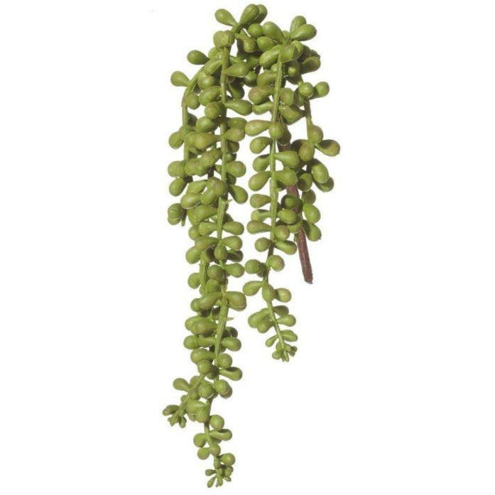 Hanging Pearl Plant Succulent 32cm